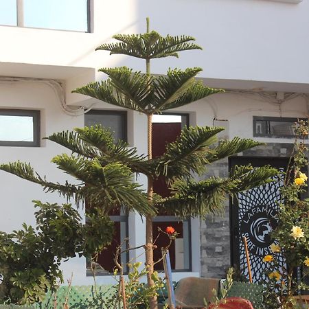Lafamilia Surf Imsouane Hotel Kültér fotó