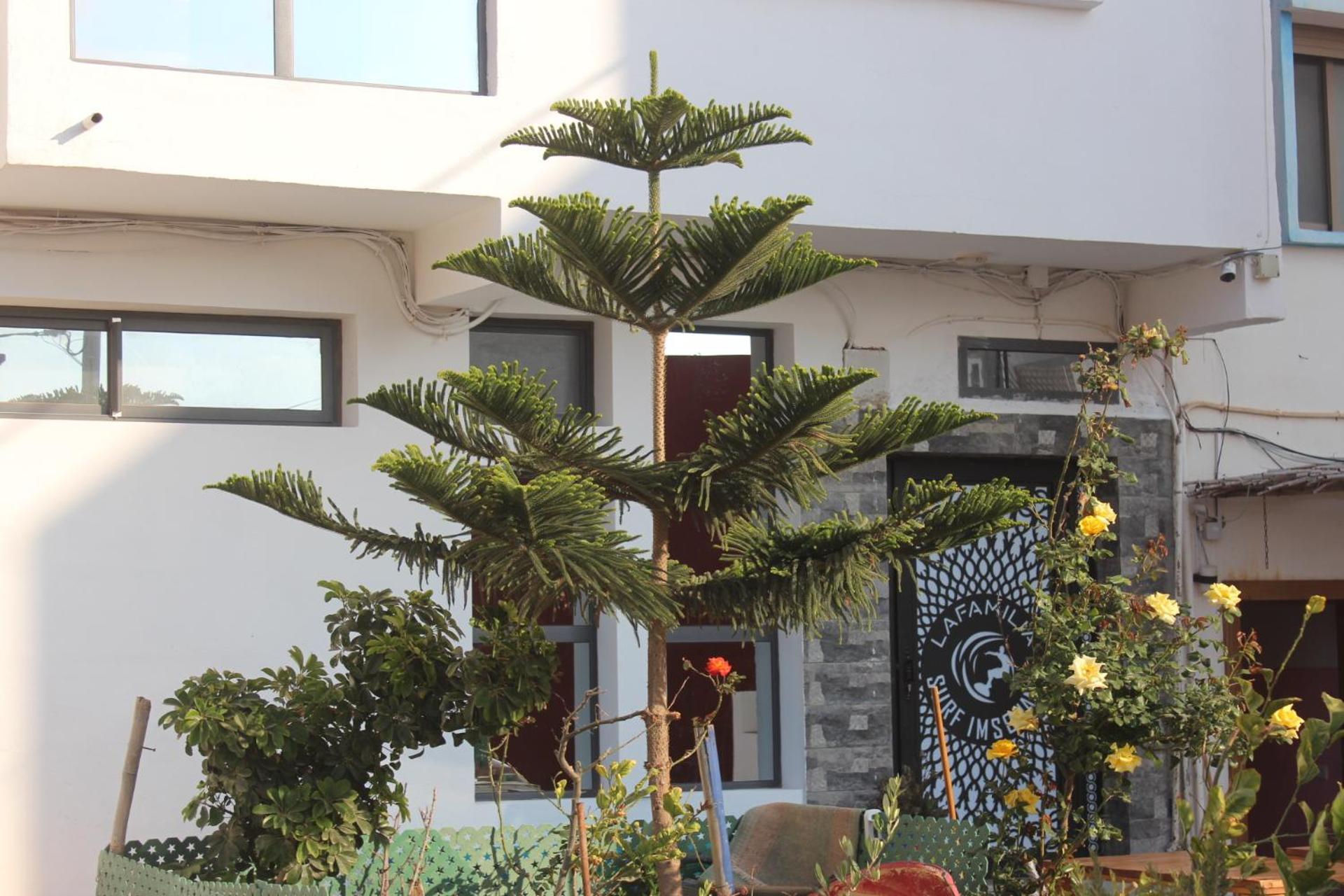 Lafamilia Surf Imsouane Hotel Kültér fotó